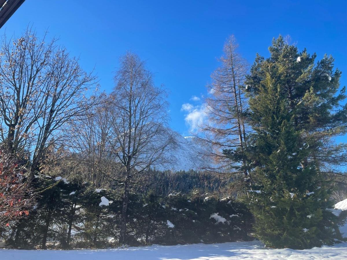Appartamento W7 Haus Ganghofer Leutasch Esterno foto
